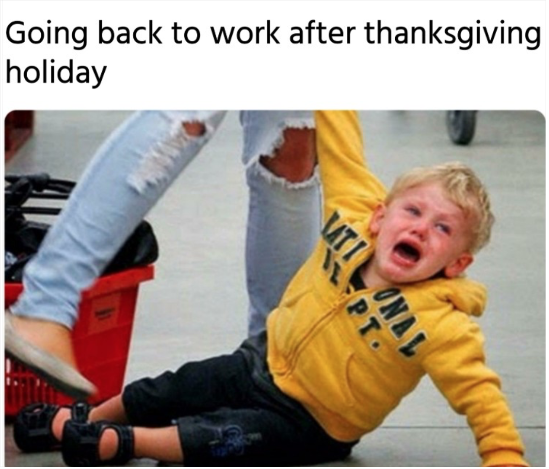 Photo of a crying child being pulled off the ground, captioned, 'Going back to work after thanksgiving holiday.'