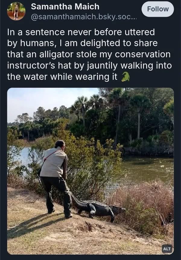 Bluesky post from Samantha Maich: