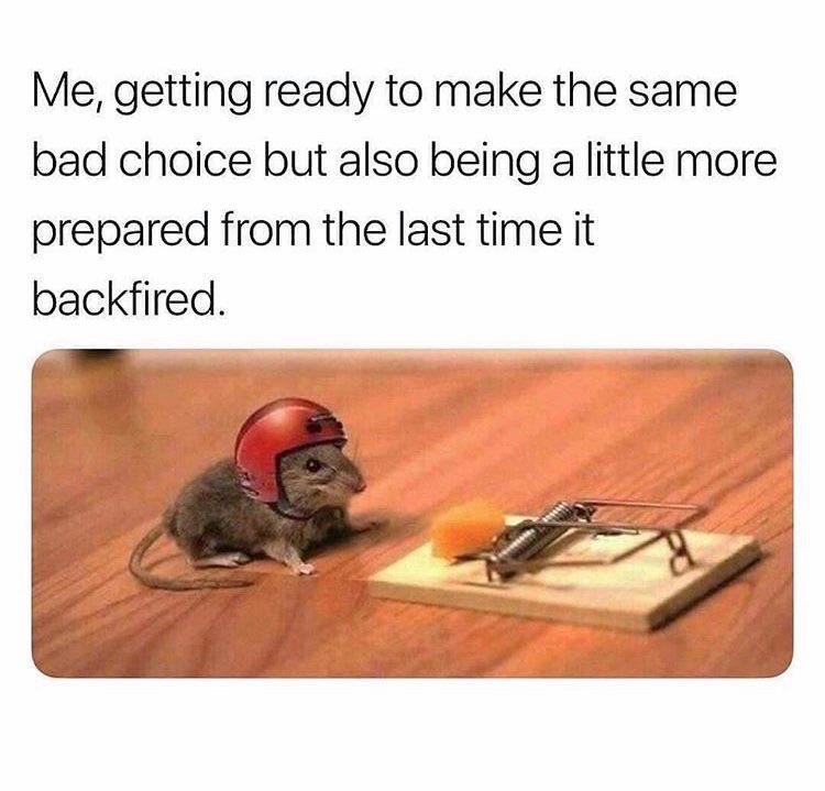 A photo with a mouse wearing a red helmet in front of cheese on a mouse trap with the text