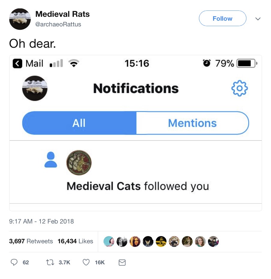 A Tweet screenshot. The user medieval Rats wrote, ''Oh dear,'' and posted screenshot notifaciton saying, ''Medieval Cats followed you.''